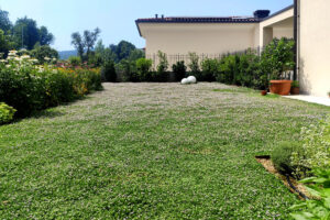 Progettazione Giardino in Franciacorta