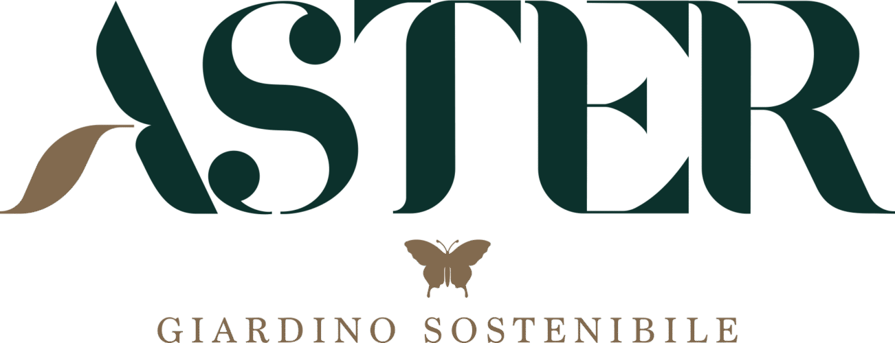 Aster Giardini